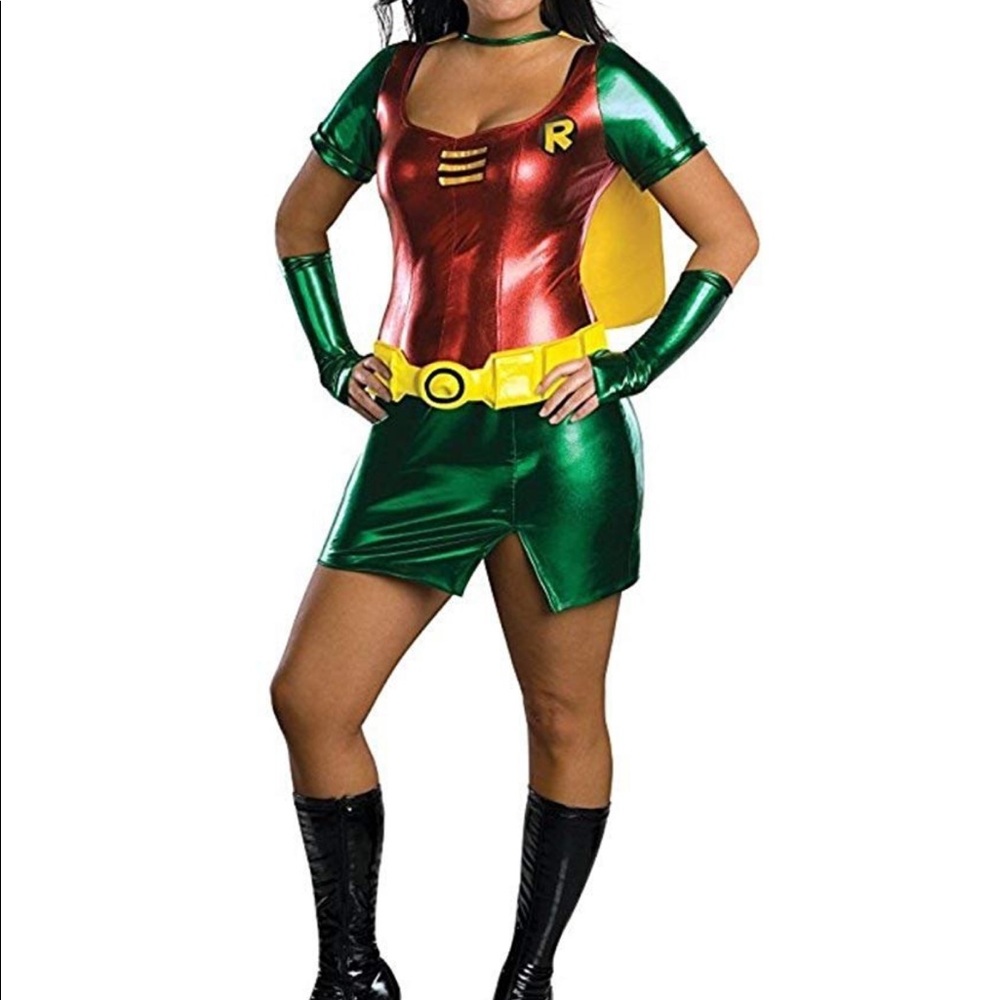 Secret Wishes Robin Costume